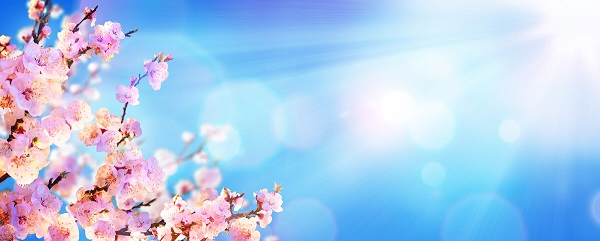 戰(zhàn)疫情，北京韋林公司全體員工齊心協(xié)力共克時艱！